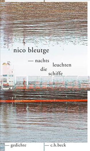 bild_LYRIK_nico_bleutge2