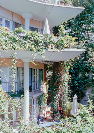 Wohnhaeuser-mit-bepflanzter-Terrasse