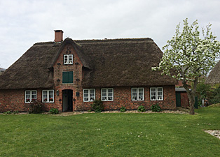 bild-cb_1377.jpg