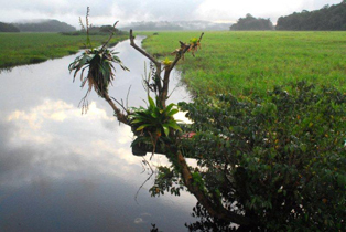bild_cb_guyana_3