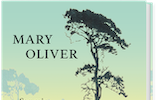 Buchcover_Oliver_FP